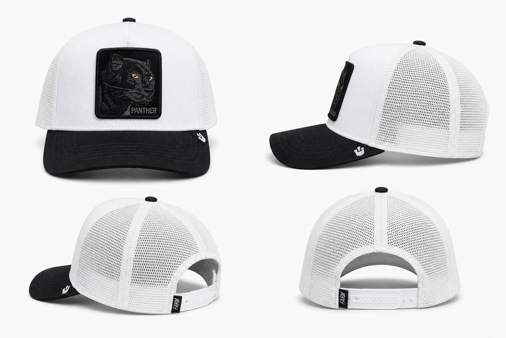 Goorin Bros Men's The Panther Ball Cap